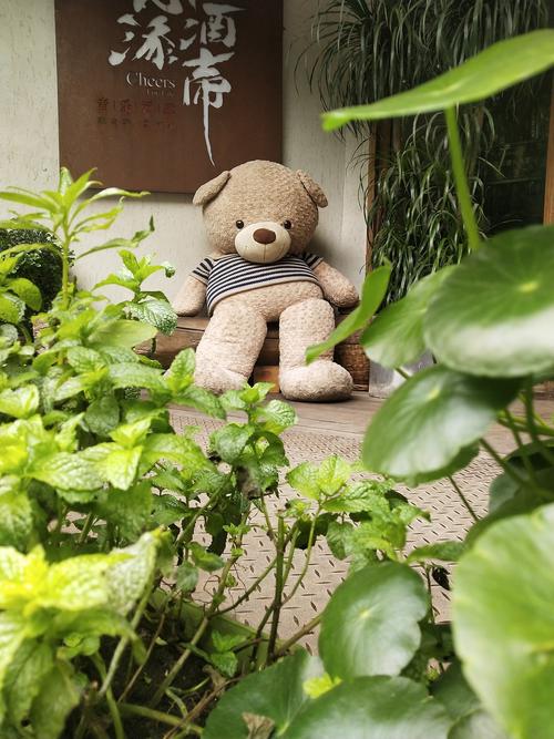 文艺陈帆fotochenthomas看看世界企业展厅3472-land-53晆时